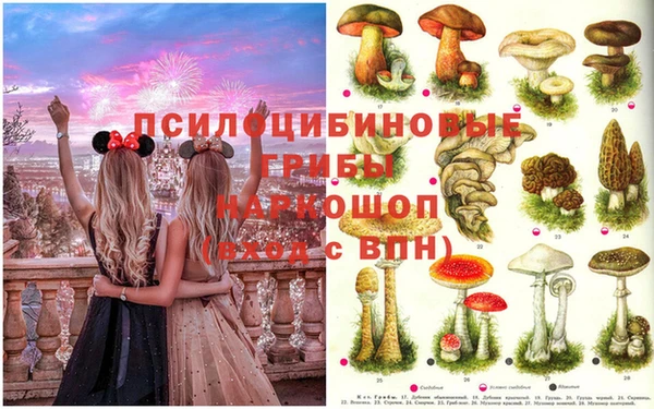 прущие крисы Алексеевка
