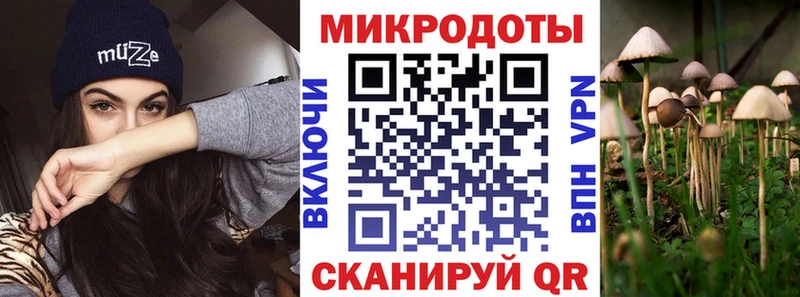 Галлюциногенные грибы MAGIC MUSHROOMS  гидра вход  Котовск 